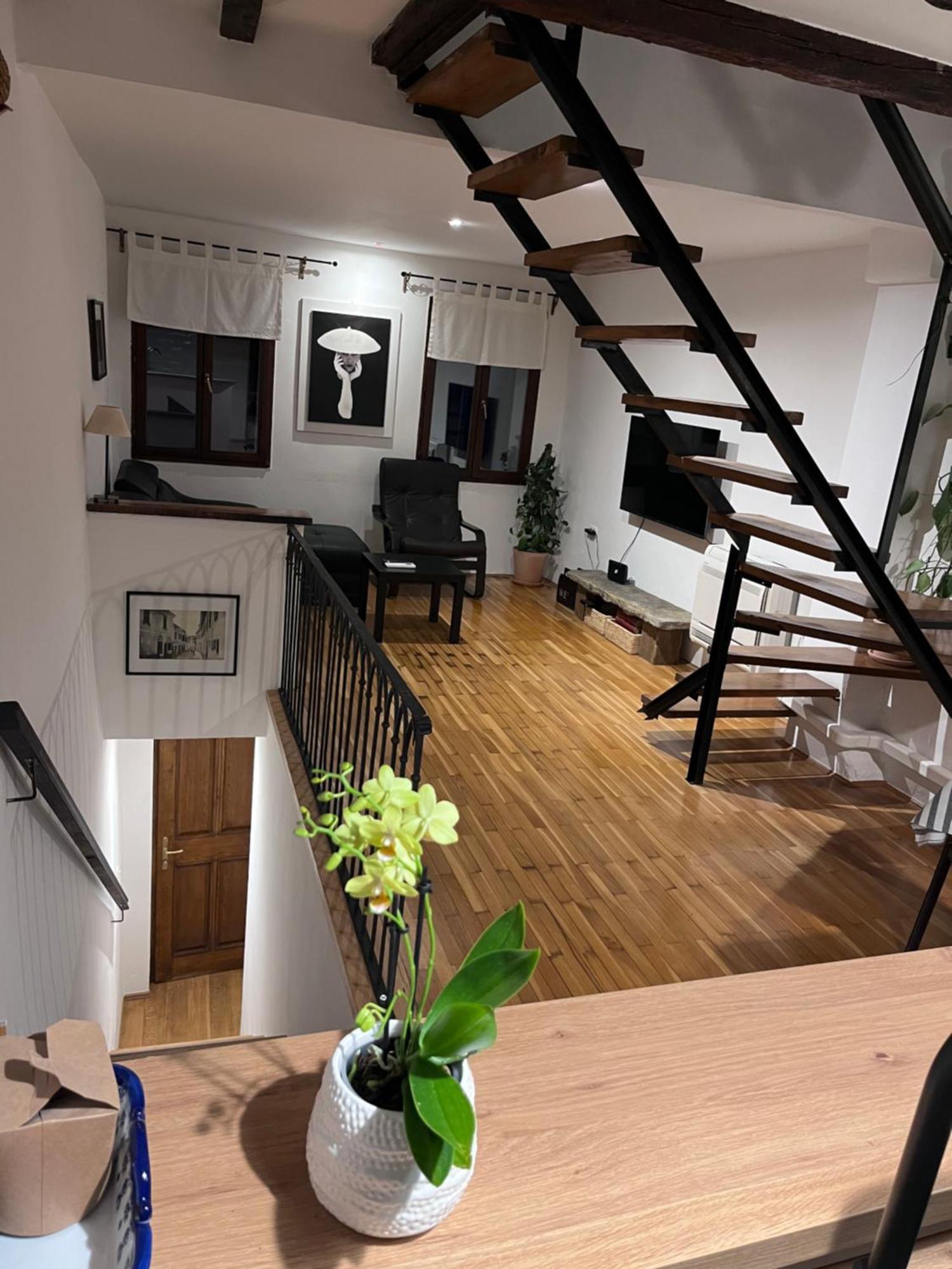 Apartment Capo D'Istria Koper Ngoại thất bức ảnh
